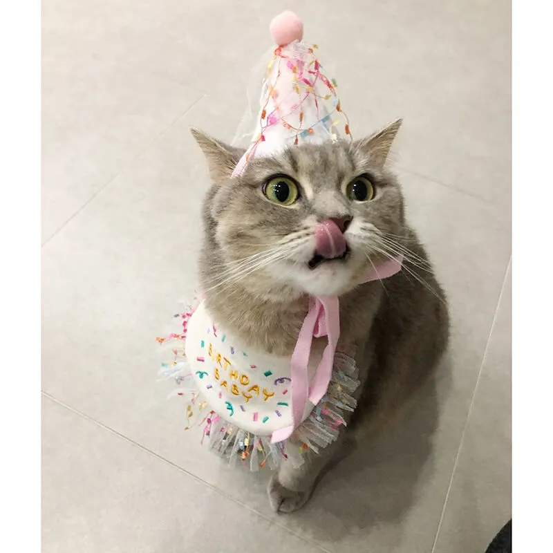 Wholesale Dog Cat Birthday Scarf Hat 11