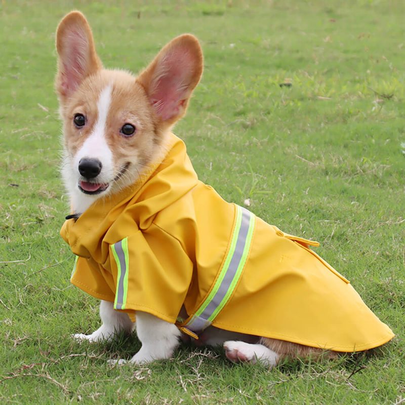 Wholesale Pet Supplies Dog Poncho Raincoat1