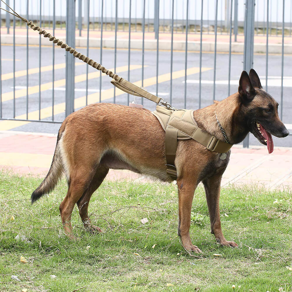 Wholesale Tactical Training Dog Vest Harness 4