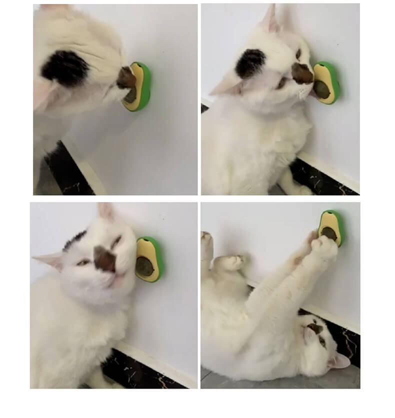 Mayorista juguete para gato bola con hierba gatera 7