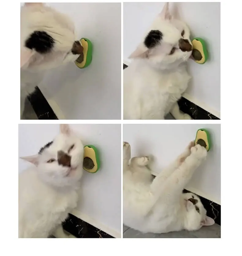 Wholesale cat toy catnip ball 7