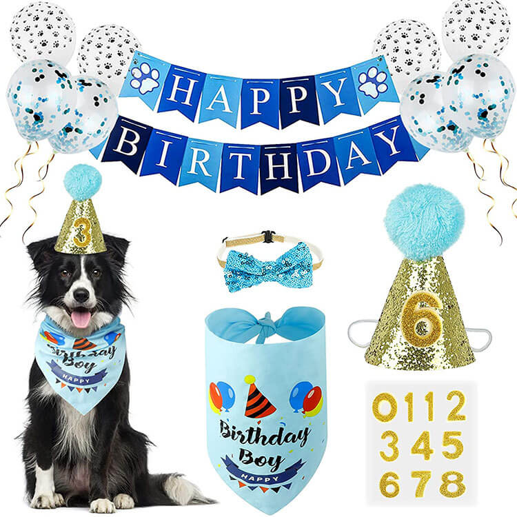 Productos para fiestas de cumpleaños de perros Sombrero Bandana Pajarita Globos Bandera Azul