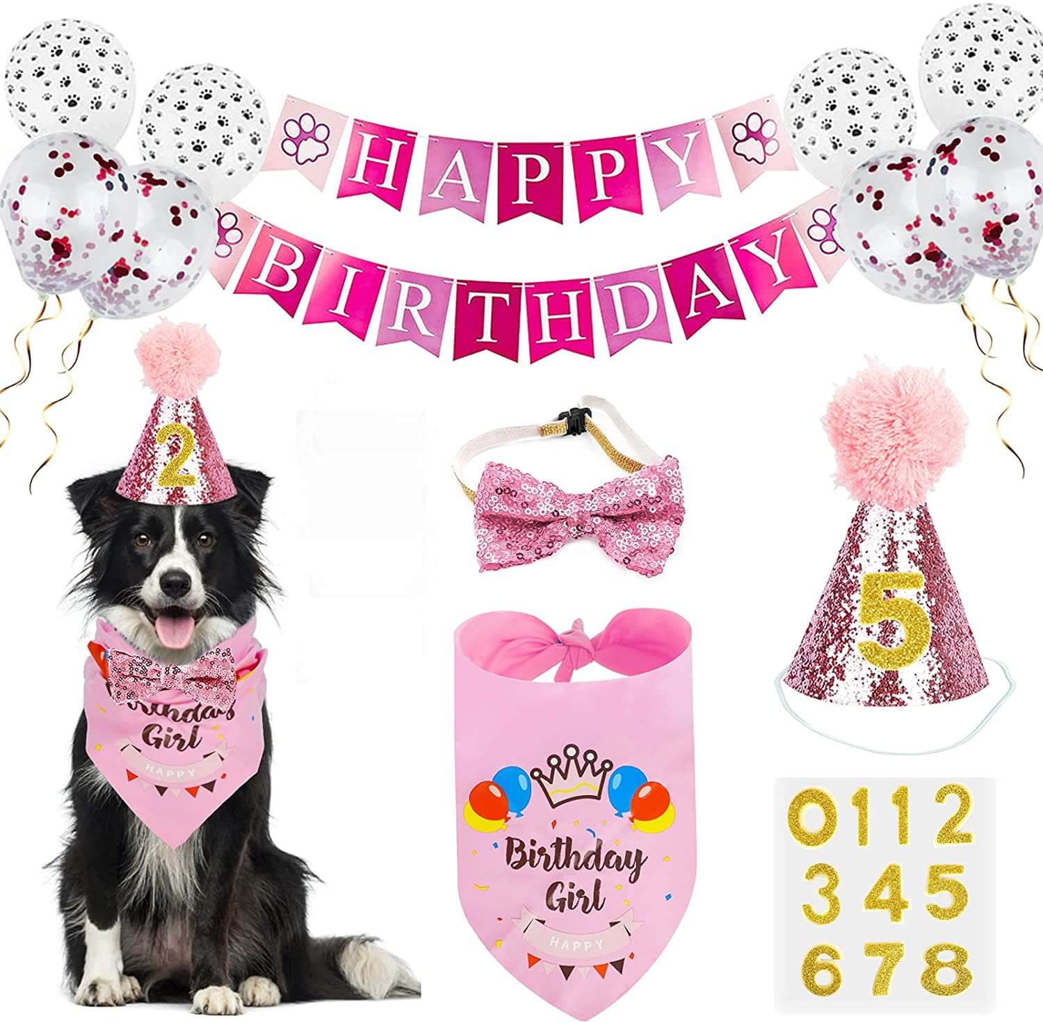 Dog Birthday Party Supplies Hat Bandana Bowtie Balloons Banner Pink