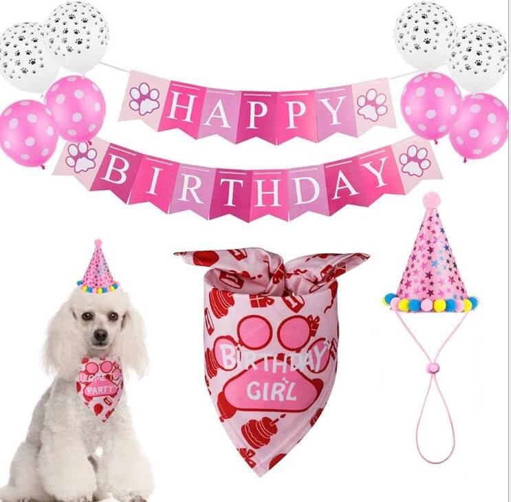 Dog Birthday Party Supplies Set Balloons Banner Hat Bandana Pink