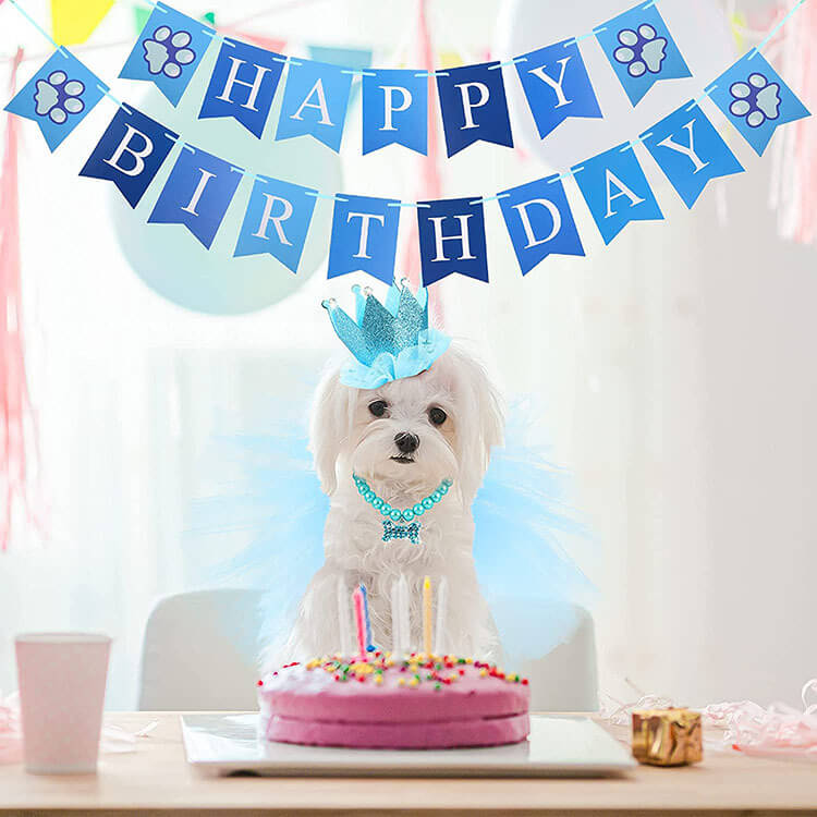 Dog Birthday Party Supplies Set Banner Necklace Hat Skirt (2)