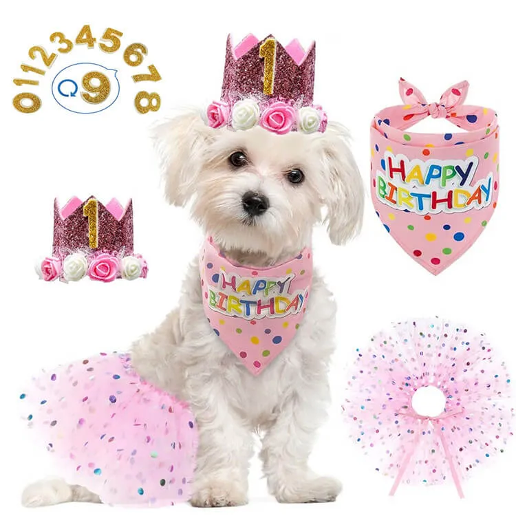 Dog Birthday Party Supplies Set Crown Hat Skirt Bandana Numbers