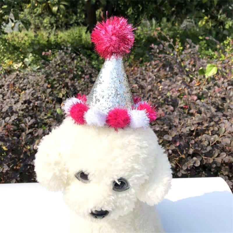 Großhandel Hund Geburtstag Party Supplies Hut Bandana Set (4)