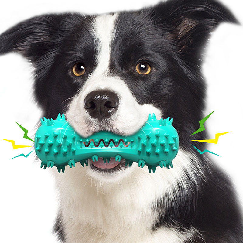 Großhandel Squeaky Zahnbürste Unzerstörbar Hund kauen Spielzeug für aggressive Kauende (7)