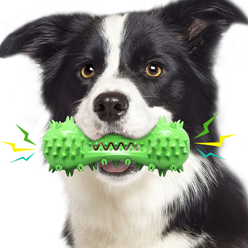 Großhandel Squeaky Zahnbürste Unzerstörbar Hund kauen Spielzeug für aggressive Kauende (9)